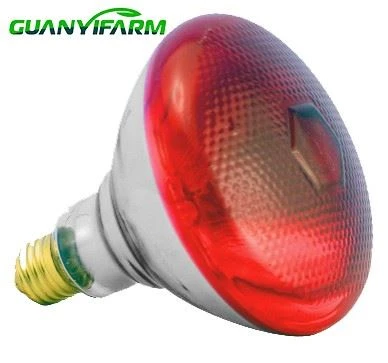 Infraqizil chiroq BR125 IR 250W E27