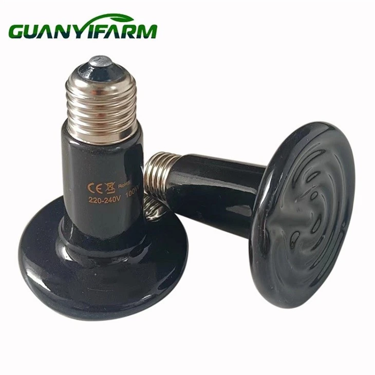 Reptile Ceramic Heat Lamp